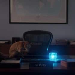 Ruff, Ruff & Away - Top 5 Superhero Pets